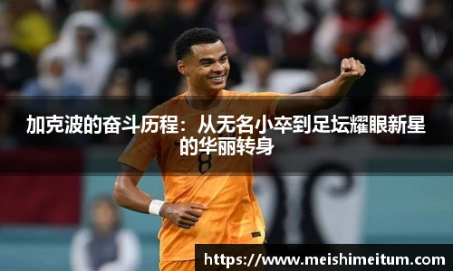 星耀官网